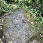 Photo taken by Luke T