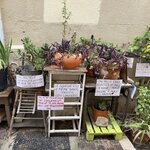 Photo taken by Anne W