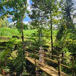 Photo taken by Amy M