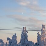 Photo taken by Ellyn V