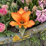 Photo taken by Jennifer D