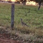 Photo taken by Adriene A