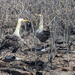 Photo taken by Jennifer A