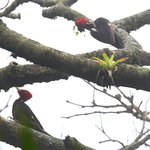 Photo taken by Graeme W