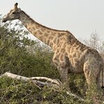 Photo taken by Paul B