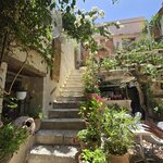 Photo taken by Candi S