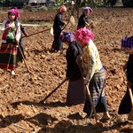 Local women tend the fields | Photo taken by Gregory R