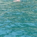 Photo taken by Linda B