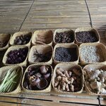 Photo taken by Nancy P