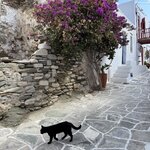 Photo taken by David B