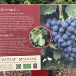 Photo taken by John P