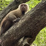 Photo taken by Kevin S