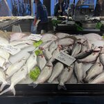 Photo taken by Mary H