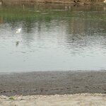 Photo taken by Meenakshi B