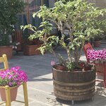 Photo taken by Lisa B