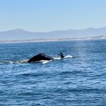 Photo taken by Silvain B