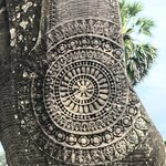 Photo taken by Karen S