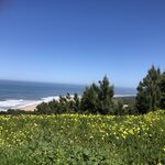 Photo taken by Paul M