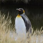 Photo taken by Martine B