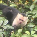 Photo taken by Margaret S