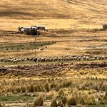 Photo taken by Kakoli K