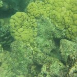 Photo taken by amny g