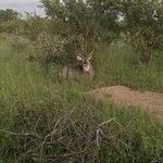 Photo taken by Michael Z