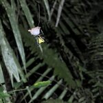 Photo taken by Breann B