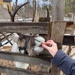 Photo taken by chelsea t