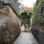 Photo taken by Tracy F