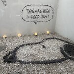 Photo taken by Sandra C