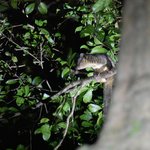 Photo taken by William R