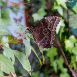 Photo taken by Jeffrey B