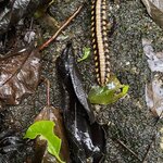 Photo taken by Kim L