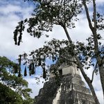 At Tikal | Photo taken by BRAD K