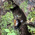 Photo taken by Chris G