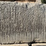 Photo taken by Doug A