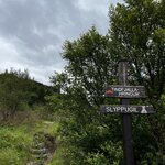 Photo taken by Kim C