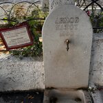 Photo taken by Teresa R