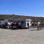 Photo taken by kirsten b