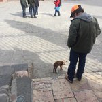 Photo taken by Zoe G