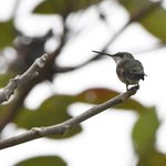 Photo taken by Graeme W