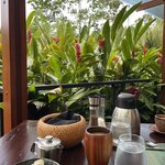 Photo taken by Matt P