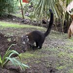 Photo taken by Sarah C