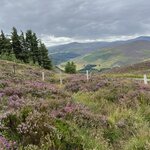 Photo taken by Nicki S