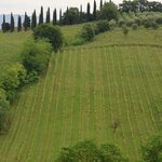 Photo taken by Kris B