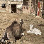 Photo taken by Evelyn K