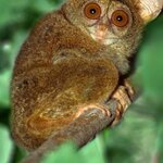 Photo taken by marisa s