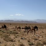 Photo taken by Pam L