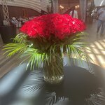 Photo taken by Judy B